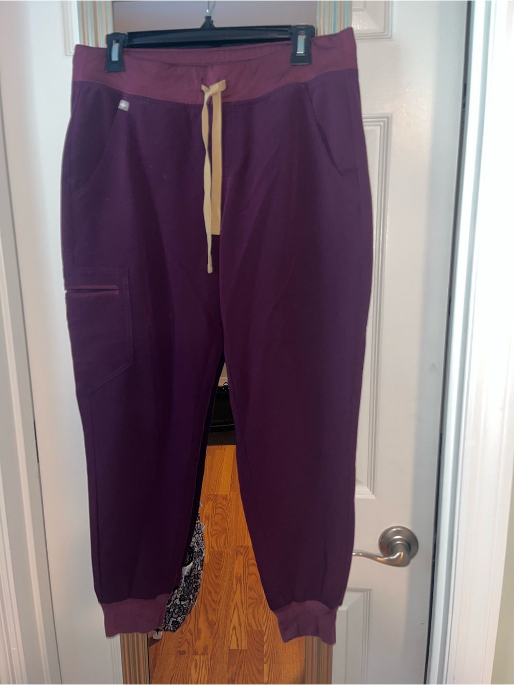 Women’s Deep Purple Zamora Jogger Scrub Pants